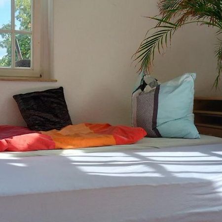 Forrest Apartments In Freiberg Min Stay 2 Nights Max Number Of Guest 1 Aprt 1 Екстер'єр фото
