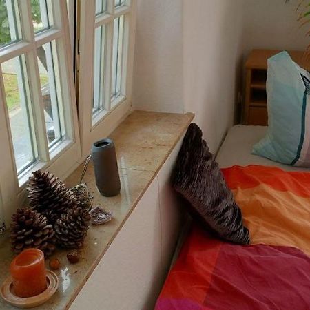 Forrest Apartments In Freiberg Min Stay 2 Nights Max Number Of Guest 1 Aprt 1 Екстер'єр фото