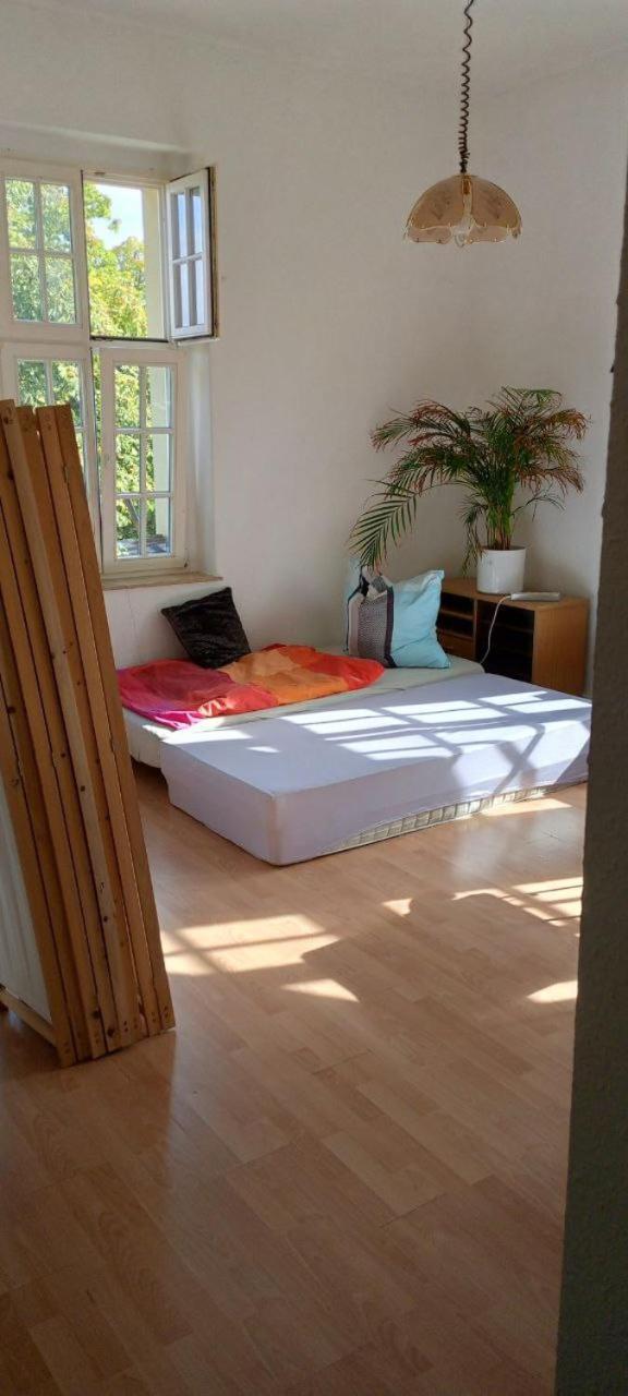 Forrest Apartments In Freiberg Min Stay 2 Nights Max Number Of Guest 1 Aprt 1 Екстер'єр фото