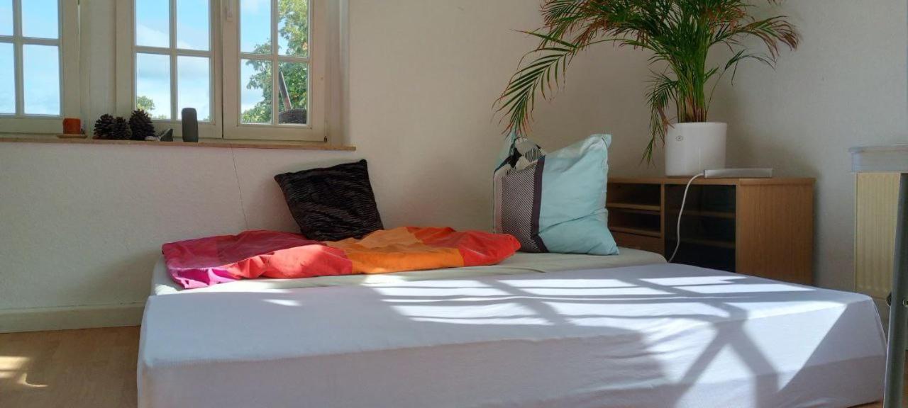 Forrest Apartments In Freiberg Min Stay 2 Nights Max Number Of Guest 1 Aprt 1 Екстер'єр фото