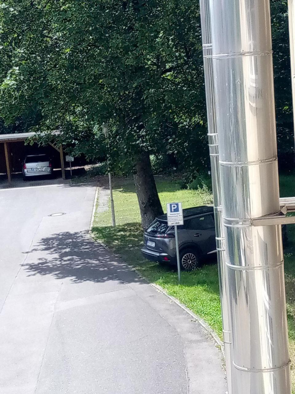 Forrest Apartments In Freiberg Min Stay 2 Nights Max Number Of Guest 1 Aprt 1 Екстер'єр фото